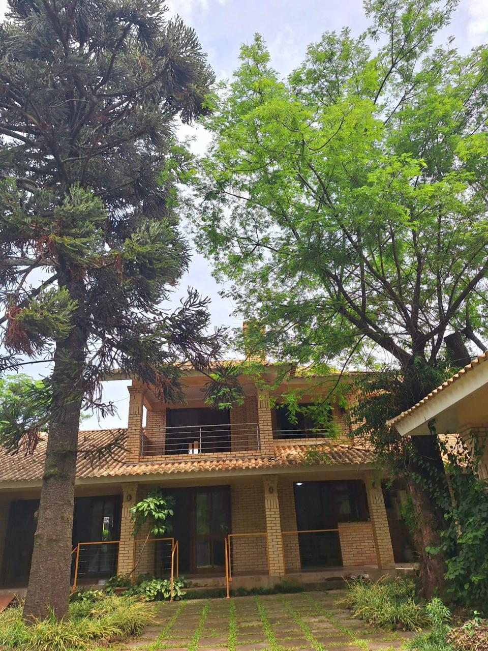 Fachada vista entre araucária e arvoredo